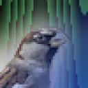 surrealsparrow