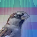 surrealsparrow