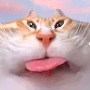 ku.kami