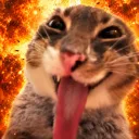l_0w