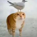 l_0w