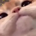 ko_.7