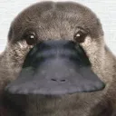 atmgma