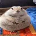 khronomates