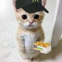 x1xh
