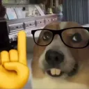 anyxz_12
