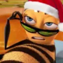 alexanderfem