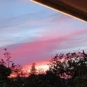 fulmofan_49588