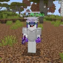 n00bieplayz