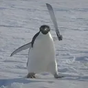 matrix_cheese