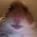 HarryPj0ter