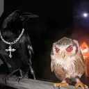dark_.ness