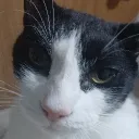 pepe_botella123 avatar