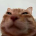 cookedwaffles_