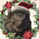 avatar Nate but jolly