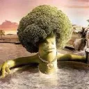 brocolli282