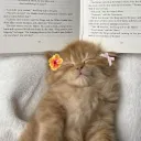 ru.moodywriter