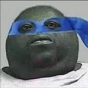 941766.