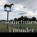 michaelb_77