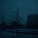 kotiknarkotik0932
