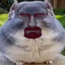 doon_pollo1