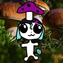 envisu_