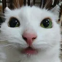 chronapng