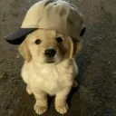 ethanpom7