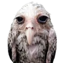 jonathan80024 avatar