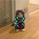 hahhak80