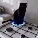 danchik3421
