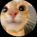 mmeetroo