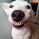 beaultifulchaos
