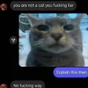 savwastaken_