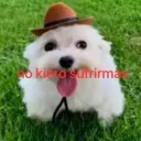 sjeramy