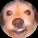 jevodadrilla