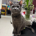 avatar Anne Mae Zing