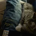 sdaggah