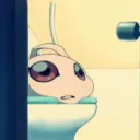pichilote