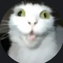 noobsag1526