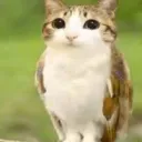 jackybizzle27 avatar