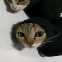 malths