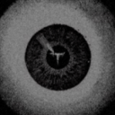 trippy's avatar