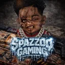 dspaz74