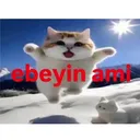 zyoners