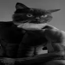 killxelper
