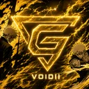 voidiigm