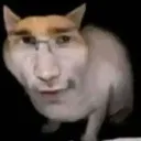 yana_liznatica01 avatar