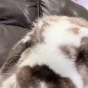 justbeencubed