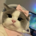 Discord Avatar